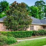 Dental office Beaumont TX street view of freestanding building in established plaza