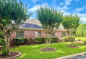 Dental-Office-Beaumont-TX-Street-View.jpg